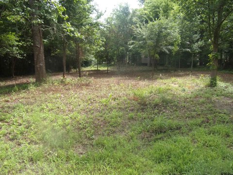 LAND - Murchison, TX