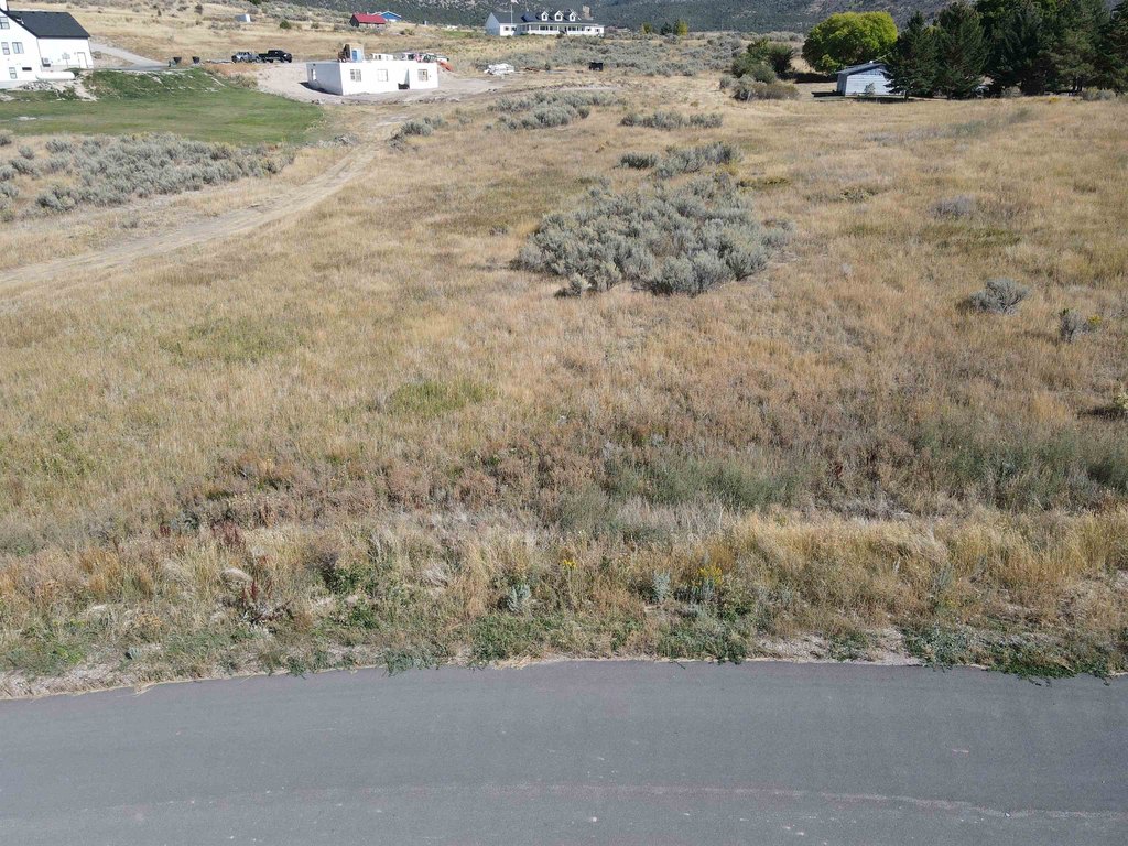 Picture 3