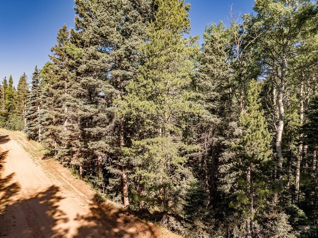 Land in Forbes Park