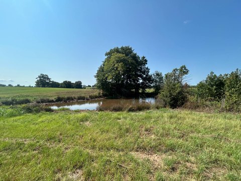 LAND - Ozark, AR