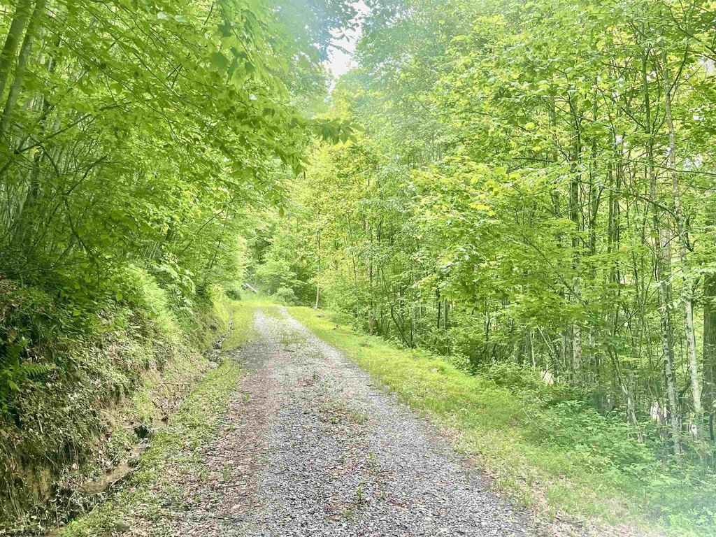Picture 20