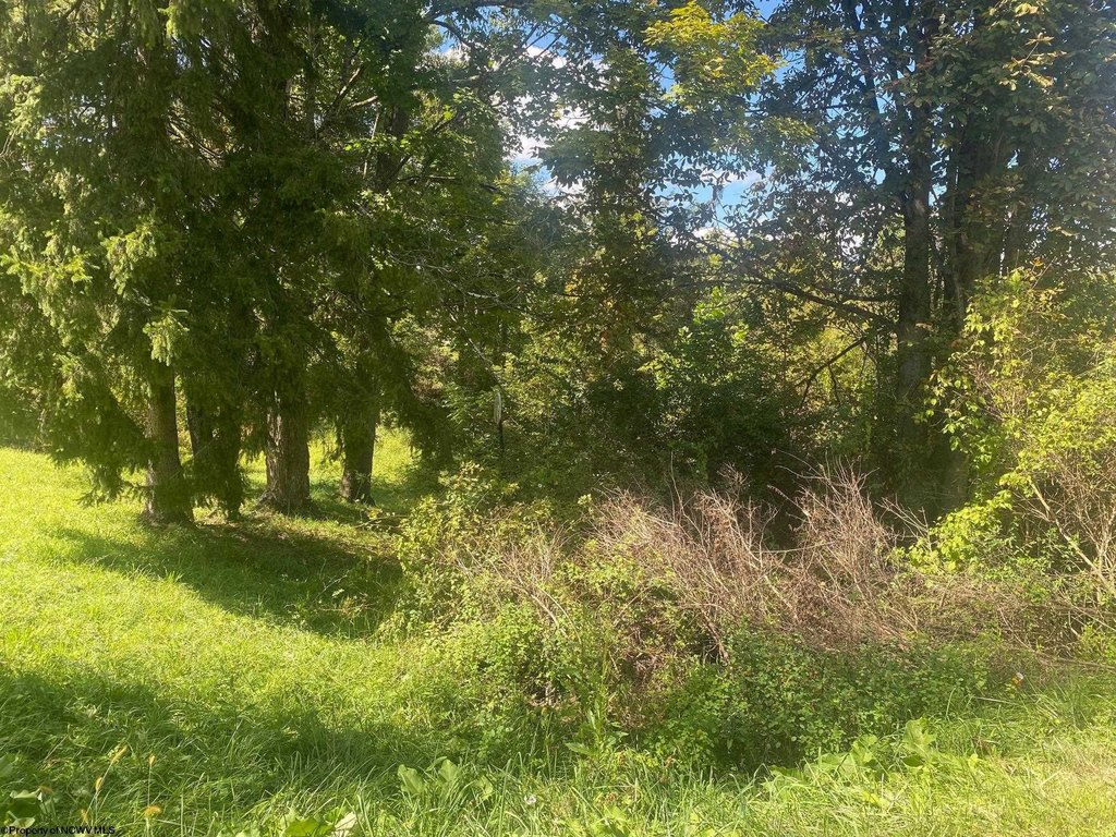 Picture 4