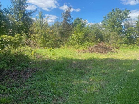 Residential Land in Elkins, WV