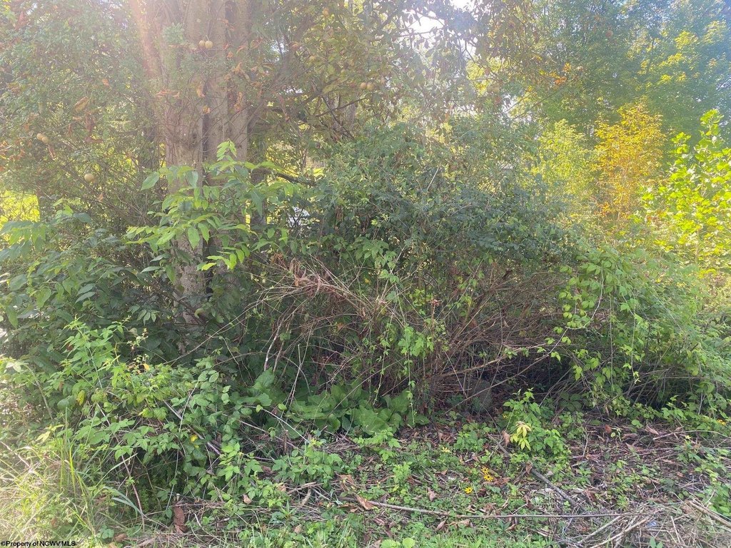 Picture 8