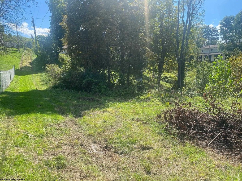 Picture 5