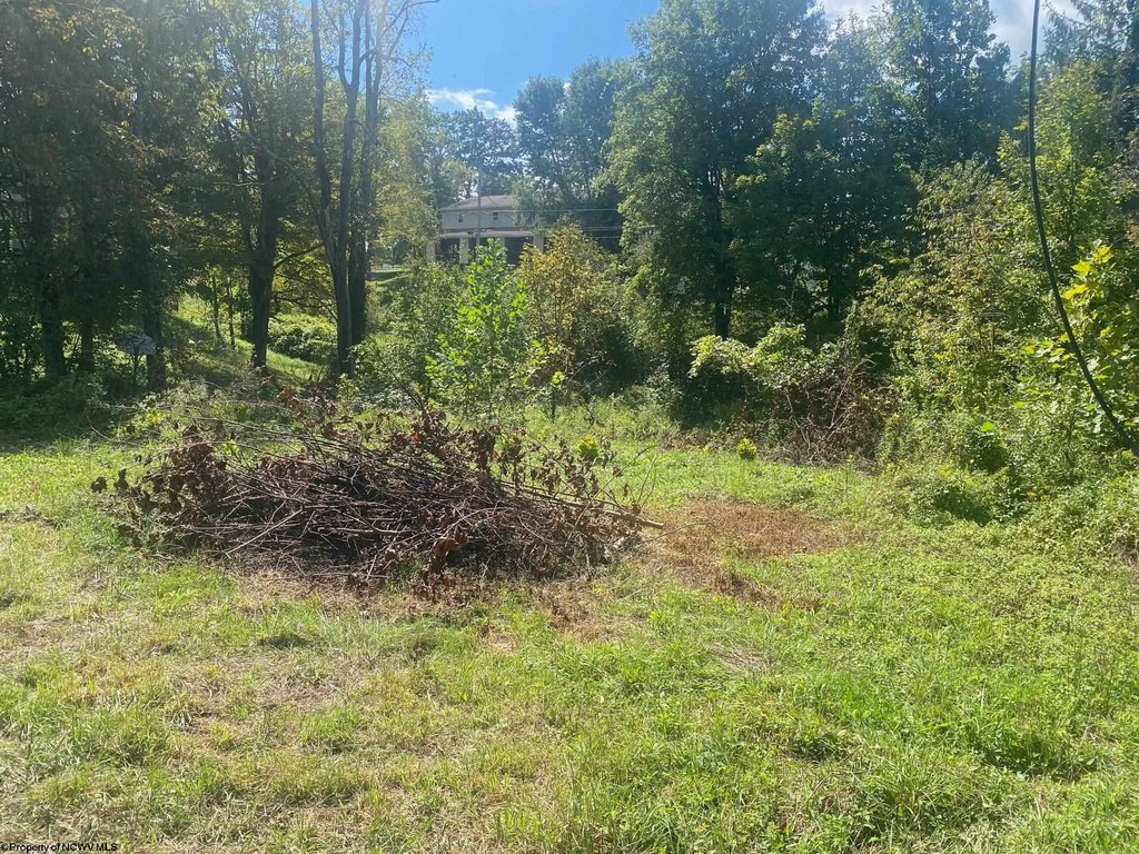 Picture 3