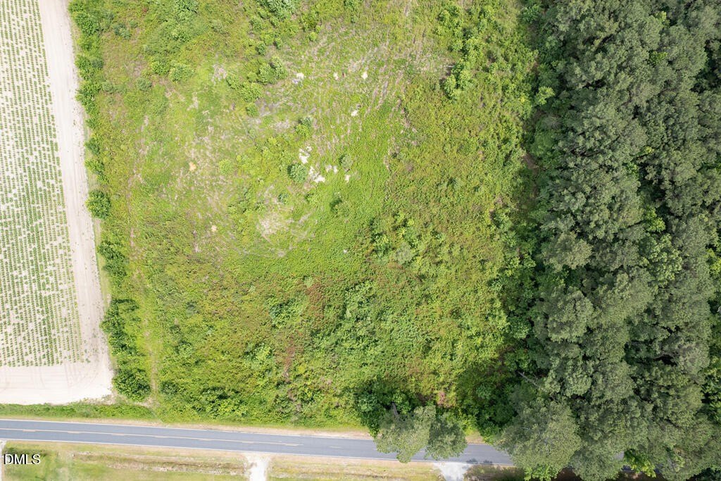 Picture 13