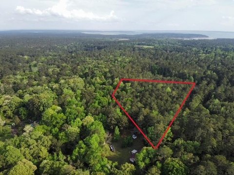 Wooded Acreage Near Lake Sam