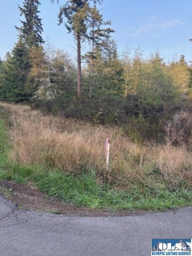 Buildable Lot with Mountain Views