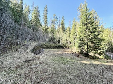 Silverton, ID Land For Sale