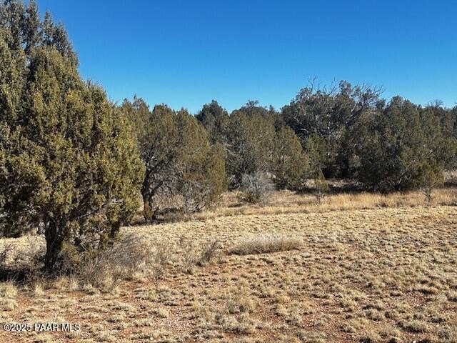 Seligman, AZ Land Parcel