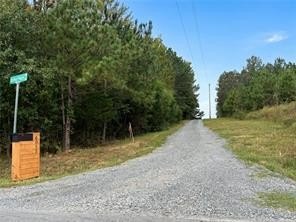 Picture 45