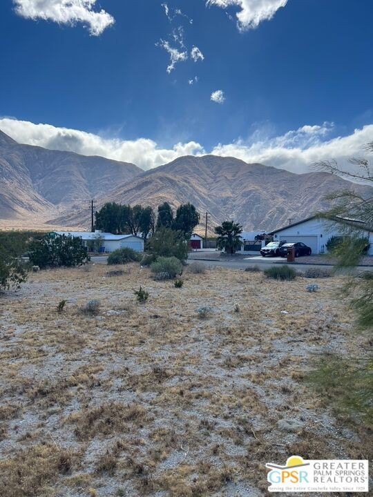 Picture 5