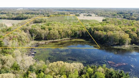 60.9 Acres with Lake Frontage