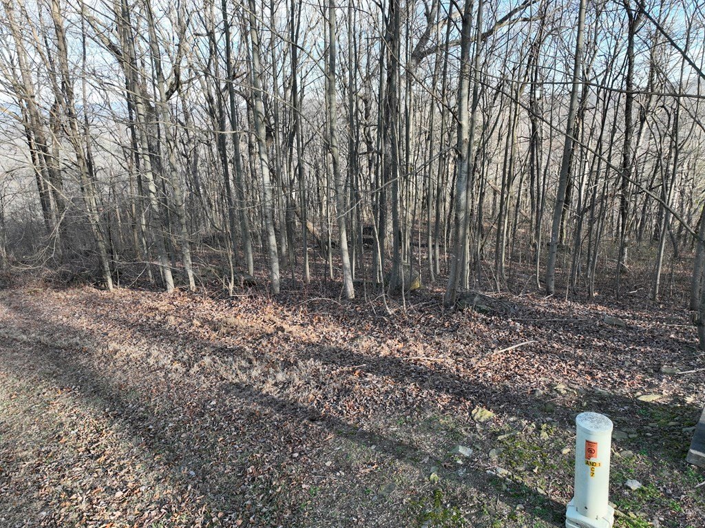 Picture 10