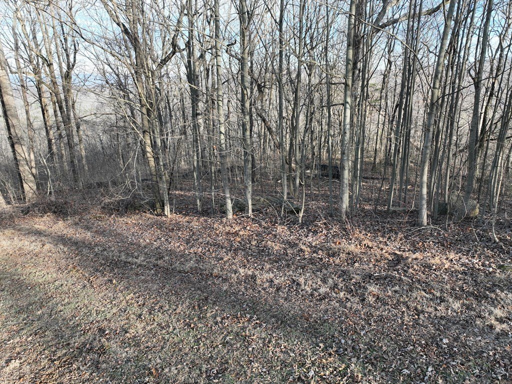 Picture 8