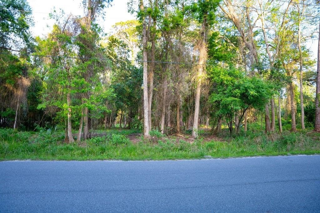 Picture 3