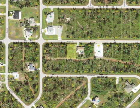 Port Charlotte Land Opportunity