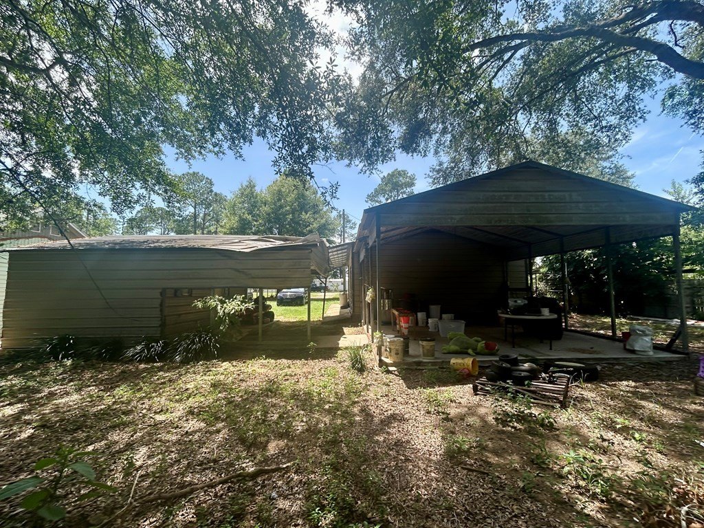 Picture 8