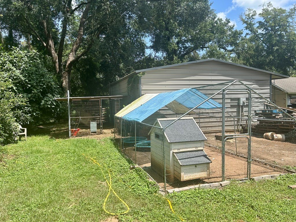 Picture 3
