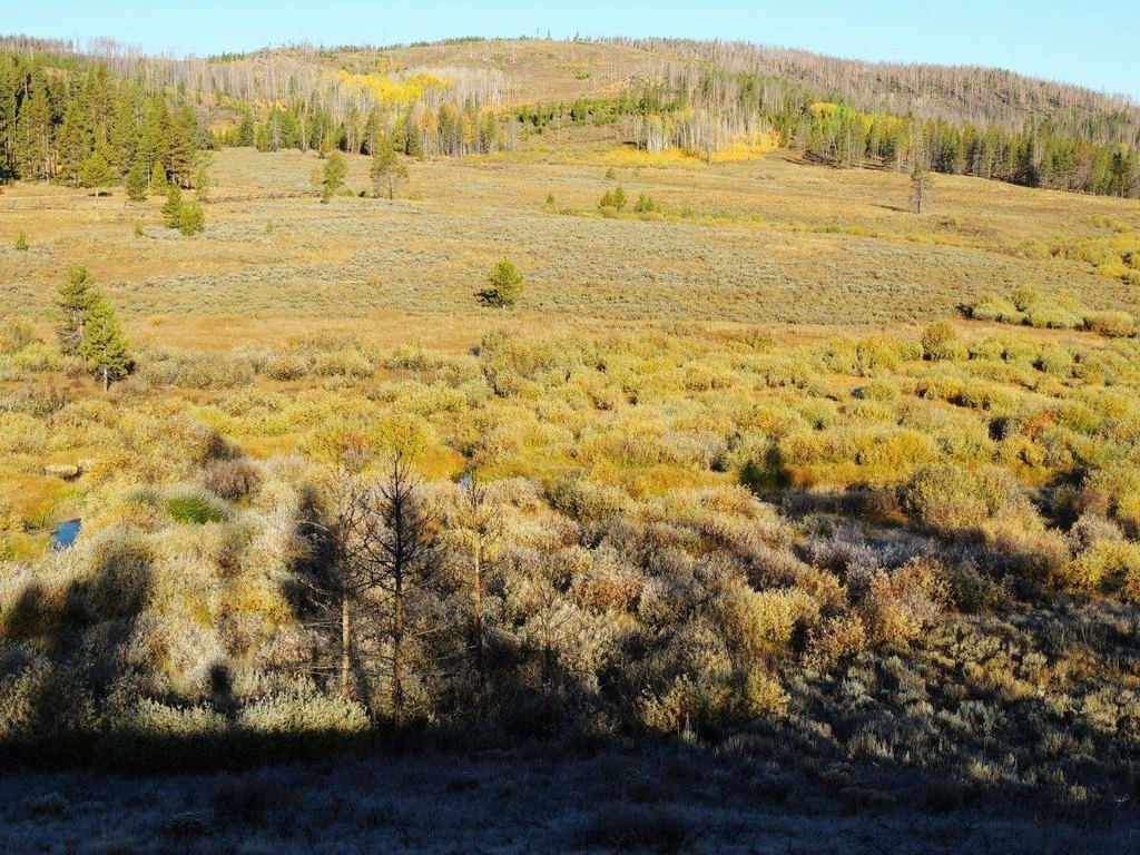 Picture 24