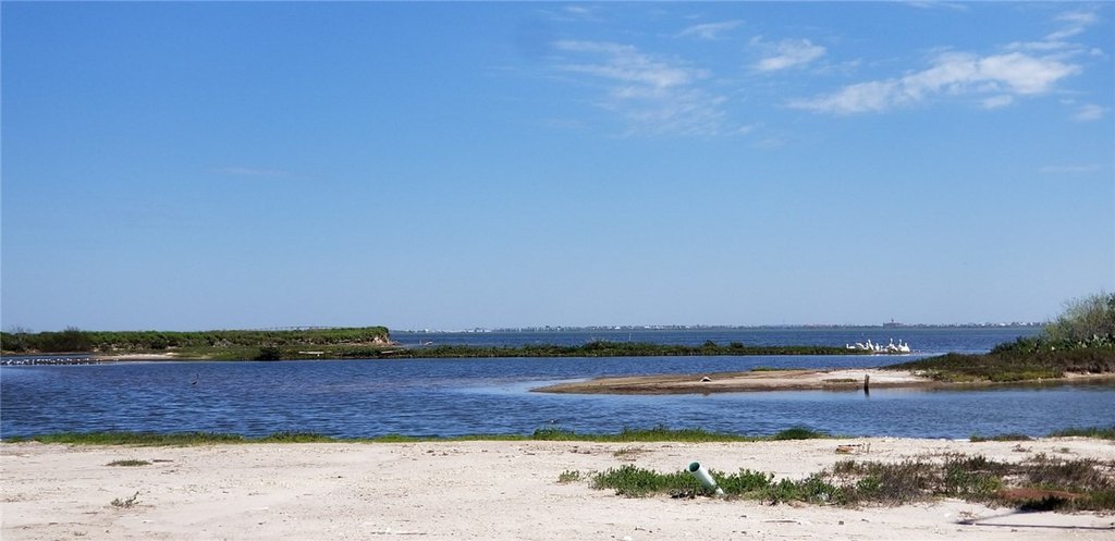 Picture 5