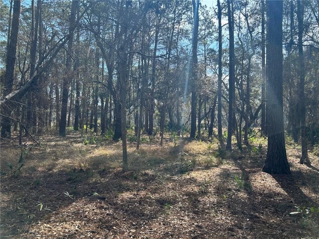 Picture 3