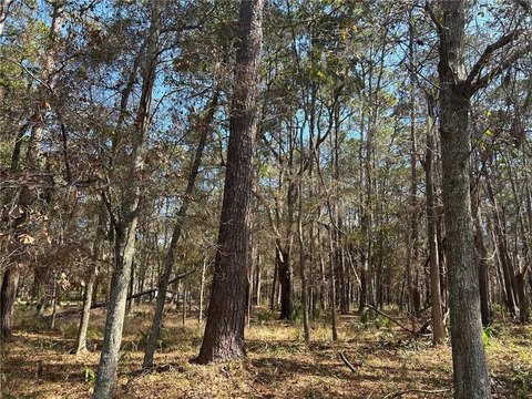 Land/Lots, Daufuskie Island, SC
