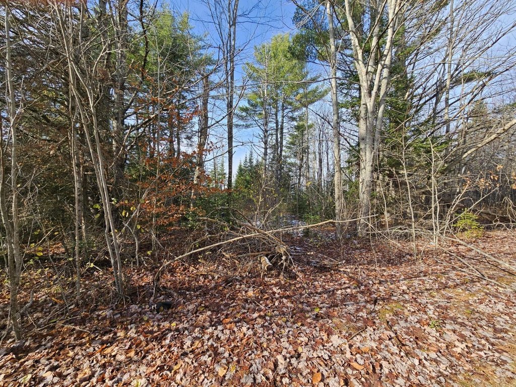 Picture 13