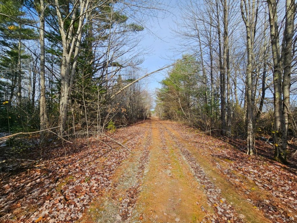 Picture 12