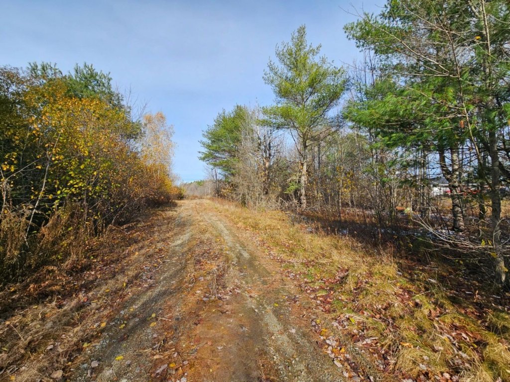 Picture 25