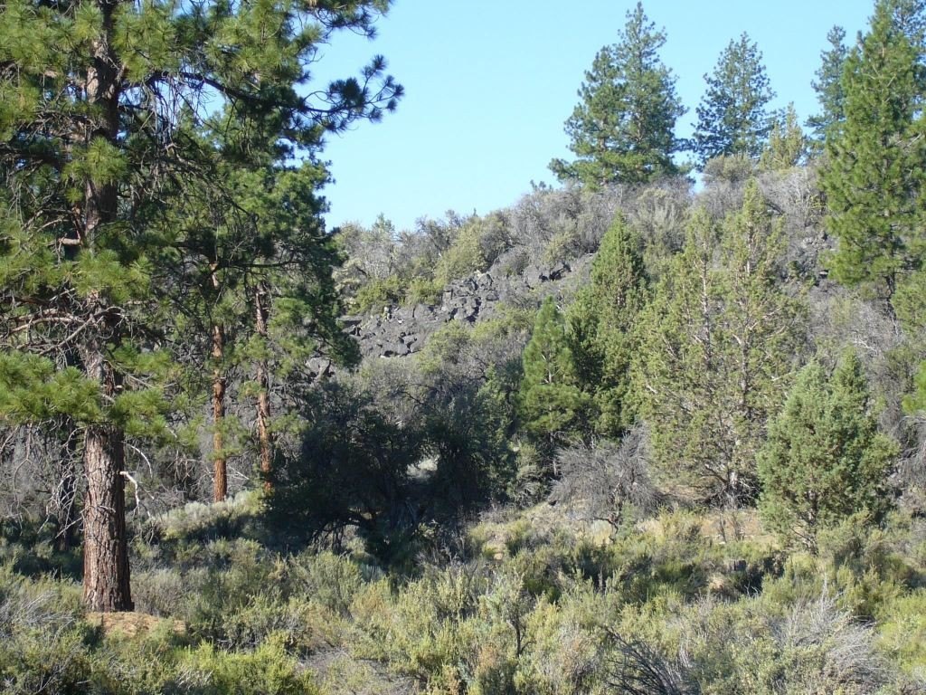 Picture 11