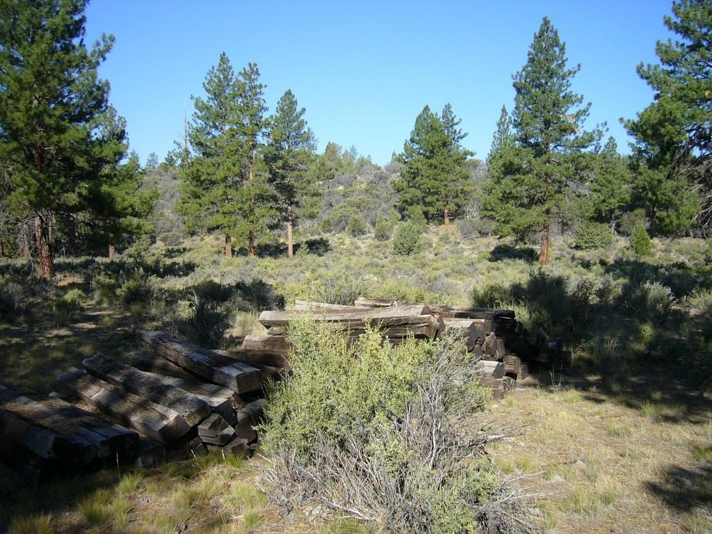 Picture 4