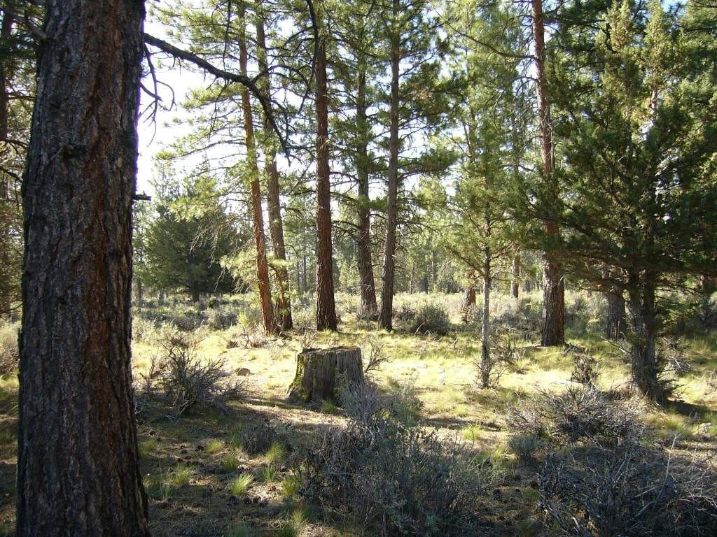 Picture 18