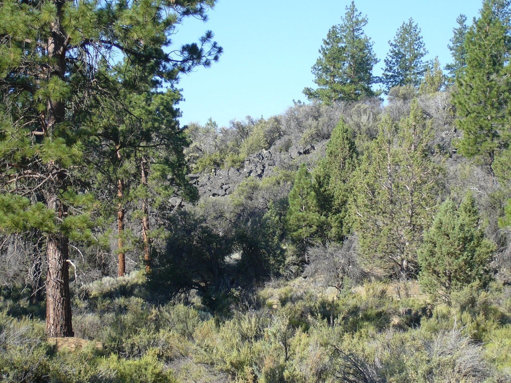 Picture 11