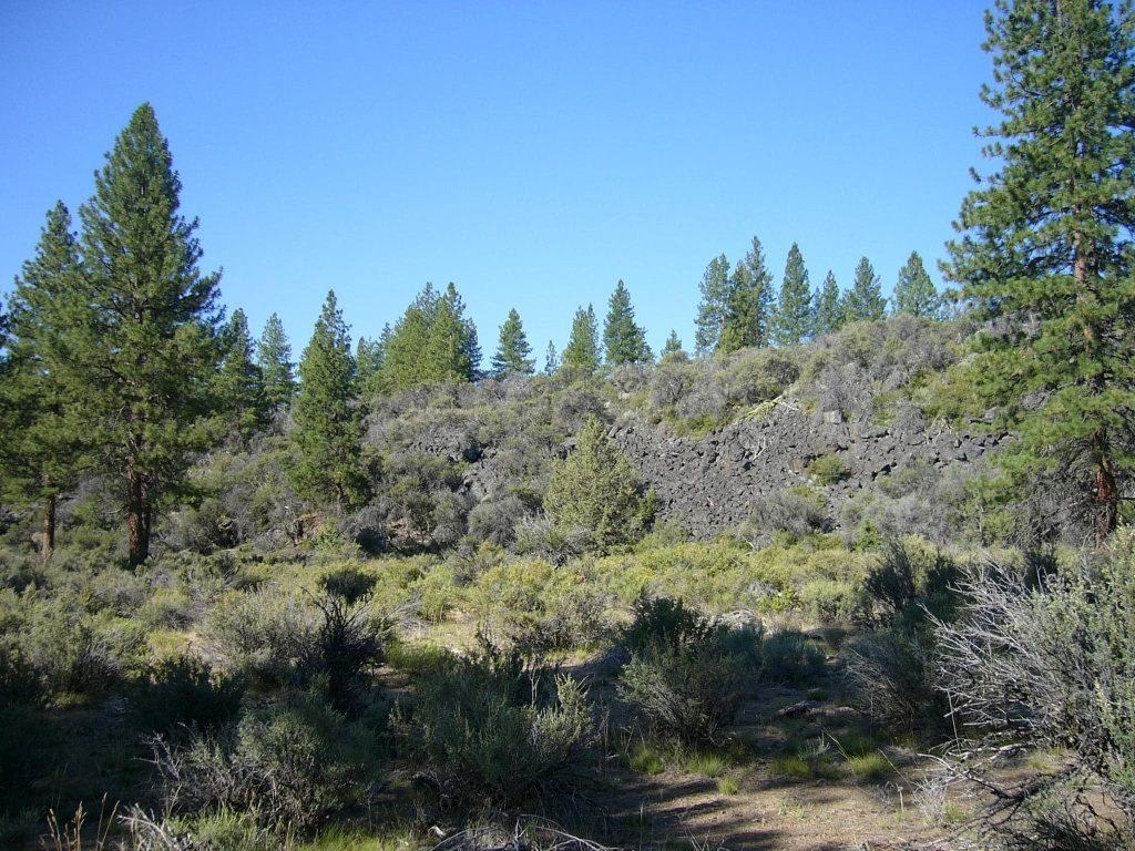 Picture 17