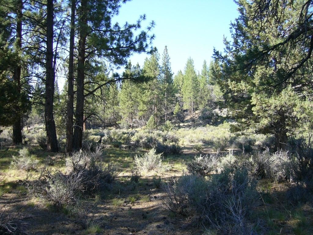Picture 20