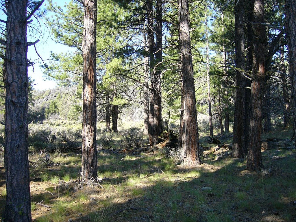 Picture 10