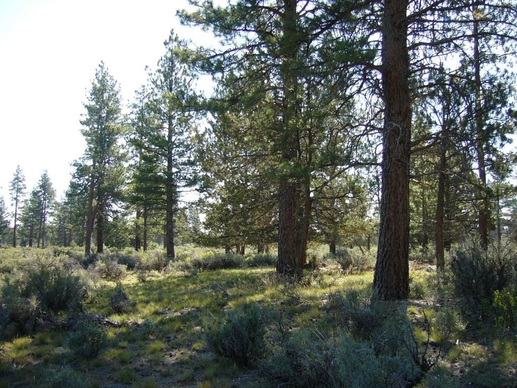 Picture 22