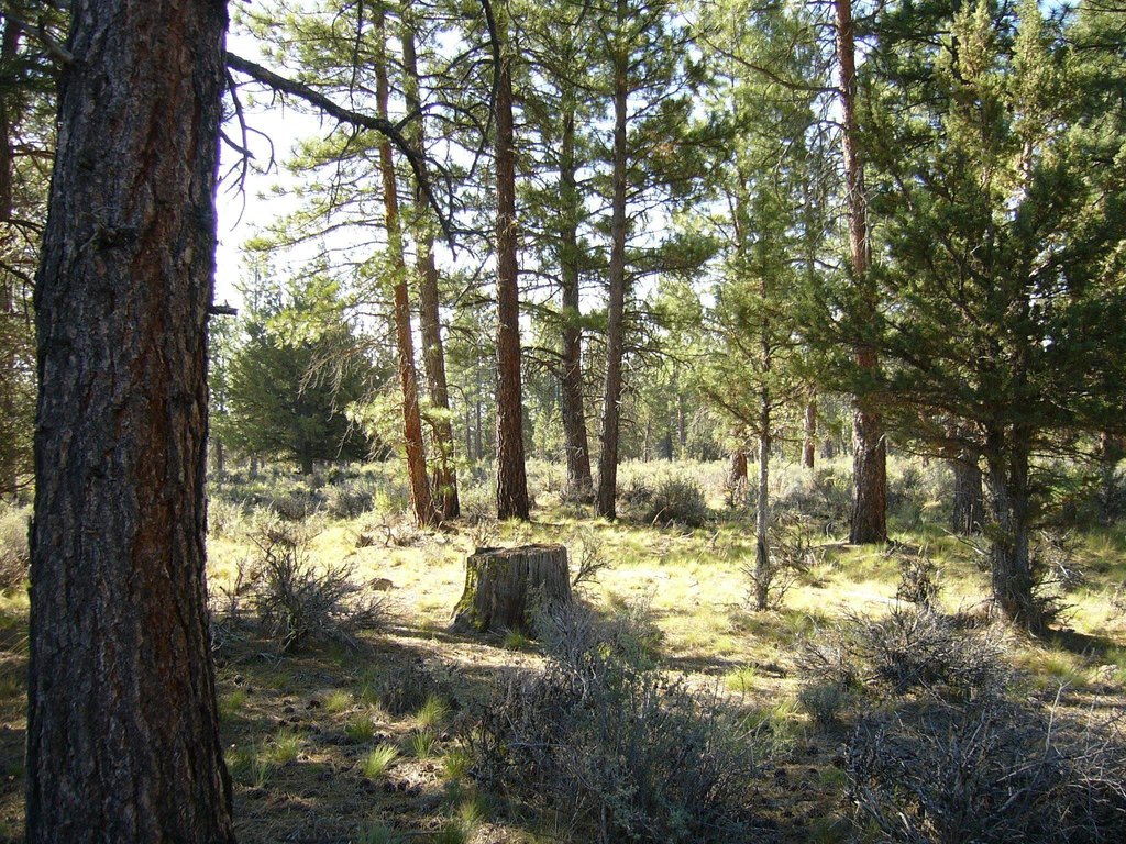 Picture 18