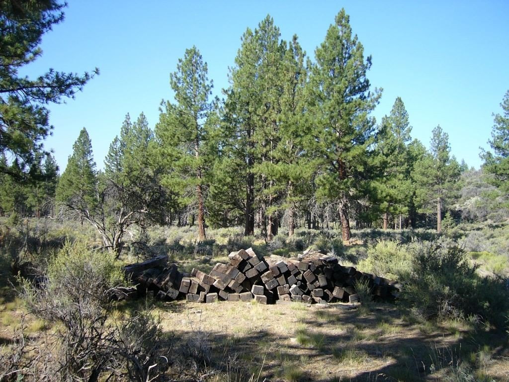 Picture 5