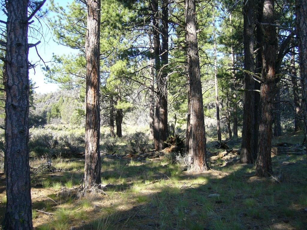 Picture 10