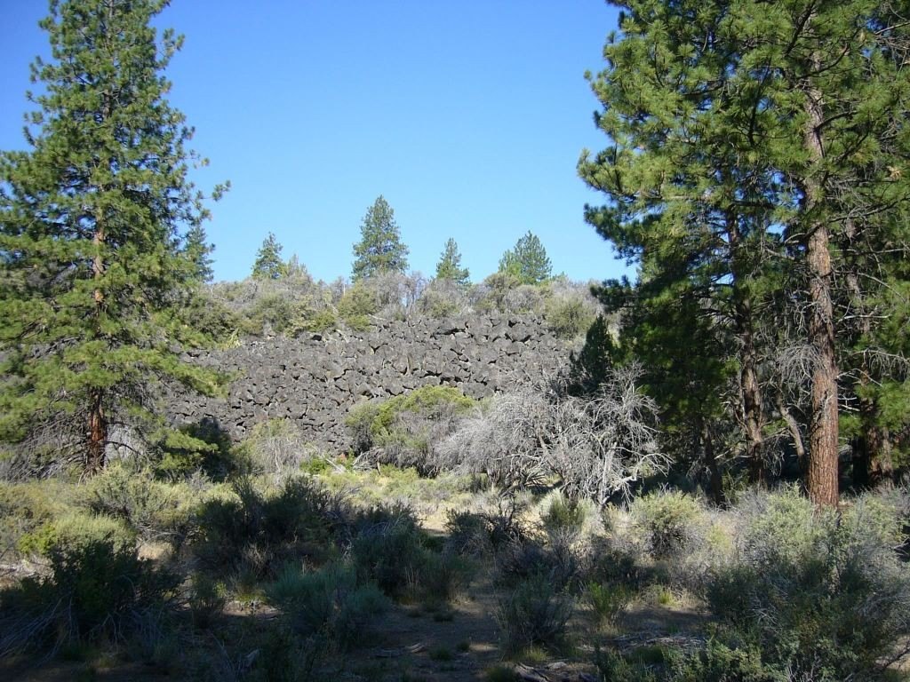 Picture 12