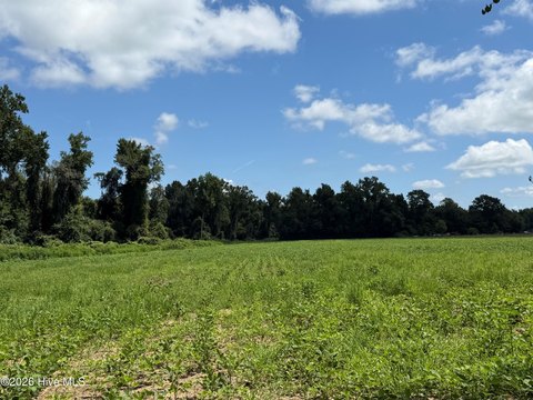 LAND - Evergreen, NC