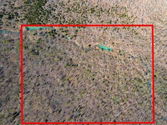 Remote Land with Creek Access