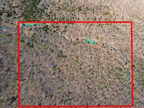 Remote Land with Creek Access