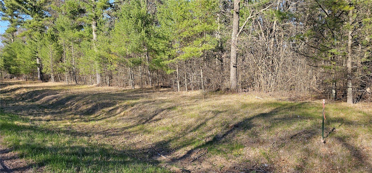 Land Near Black River Falls