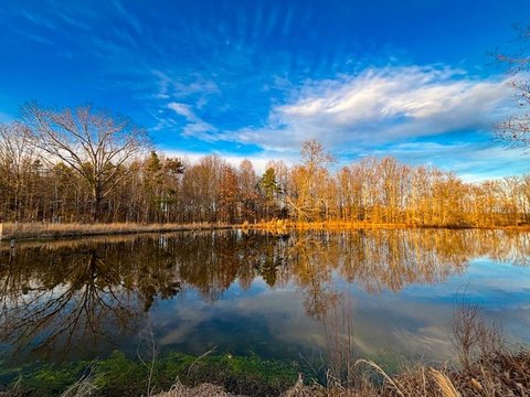 Agricultural and Recreational Land