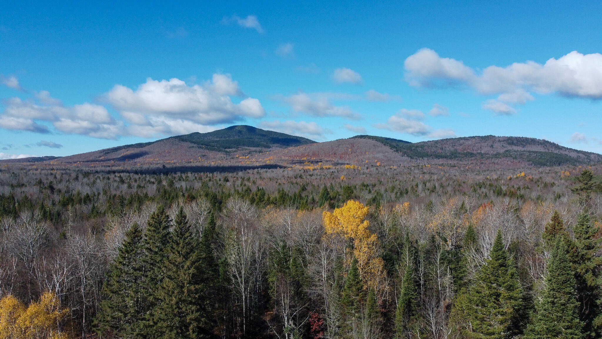 Maine Timberland with Brook Frontage