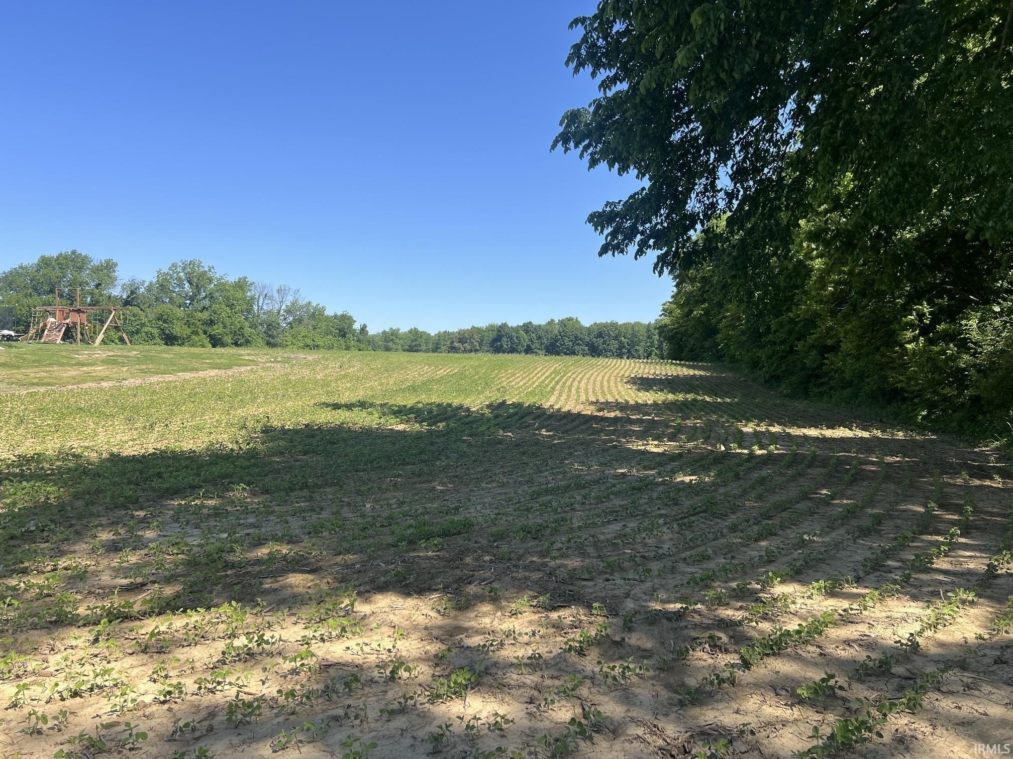 Agricultural Land in Chandler, IN